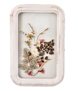 Pressed Flower Wall Art Framed Botanical Decor Wildflowers Stems Shabby Rustic - Picture 1 of 6