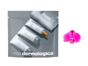 Dermalogica Meet Collection Set 4 Produkte - Bild 1 von 1
