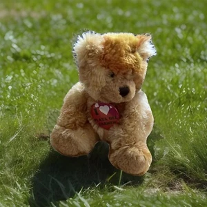 Plüsch braun Teddybär Funkee Affe Kinder Stofftiere - Bild 1 von 12