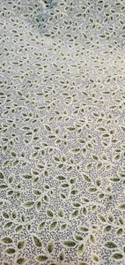 Tessuto cotone verde floreale materiale 2,04 iarde - Foto 1 di 3