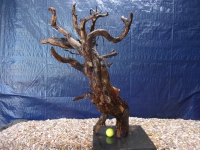 XX-Large коряги смонтированы на сланец 26 «x 19» x 18» аквариума рептилии натуральное искусство - Изображение 1 из 4