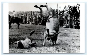 Ballerina Bull Brahma Bull Riding Kinsley Ranch Rodeo AZ Arizona RPPC A14 - Bild 1 von 2