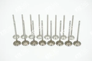 8x Auslassventil 8x Einlassventil 05L109611E 05L109601A 2.0 TDI für VW AUDI MAN - Picture 1 of 3