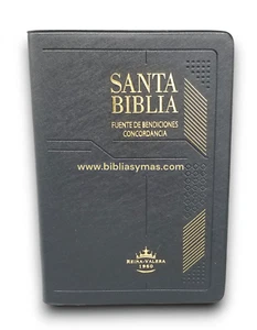 Biblia  juvenil compacta RV1960 vinil negro indice - Personalizada - Bild 1 von 11