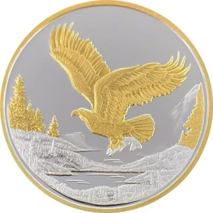 Alaska Mint Eagle in Flight alivio de oro 24k 1 oz. Prueba - Imagen 1 de 2
