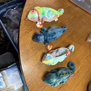RARO TY BEANIE BABY 🦎 1997 IGGY & RAINBOW 🦎 Leggi Descrizione Per Dettagli Errore - Foto 1 di 1