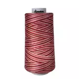 Signature Variegated 40 weight cotton thread 3000 yard cone-Strawberry Shortcake - Picture 1 of 1