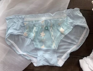 Women Sexy Lace Panties Cute Mesh See Through - Picture 1 of 2