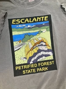 Vintage T Shirt Escalante Petrified Forest State Park Utah XL Gray Destination - Picture 1 of 9