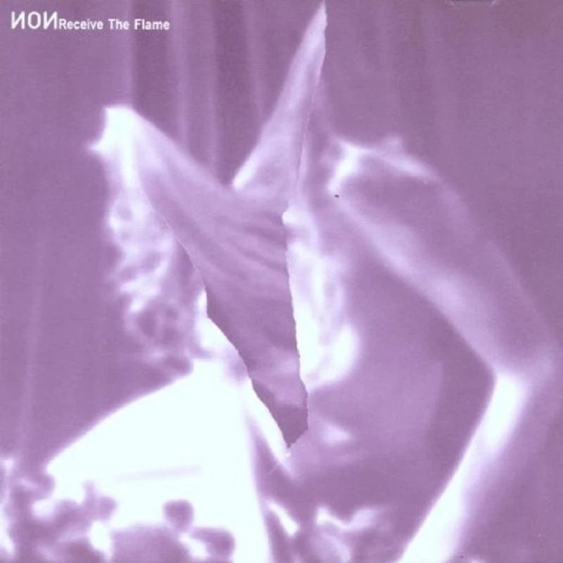 NON - RECEIVE THE FLAME  CD NEU - Bild 1 von 1