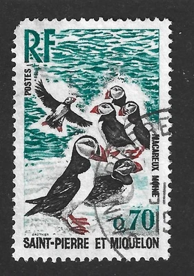 St. Pierre & Miquelon 1973 #427 Puffins - VF Used - Image 1 of 2