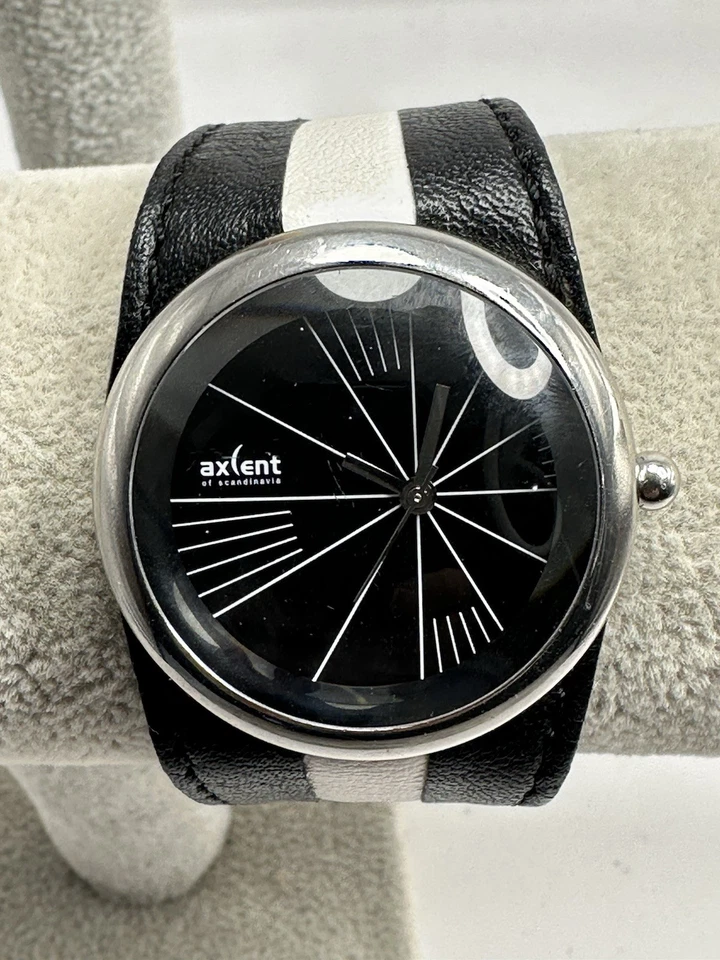 Axcent of Scandinavia Sunny Daniel Jakobsson Nova Bateria 36MM 7" H91 - Imagem 1 de 4