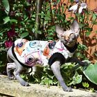 Tricot coton Say Cheese - Haut pour chat Sphynx, Devon Rex, Peterbald, vêtements pour chat animal de compagnie
