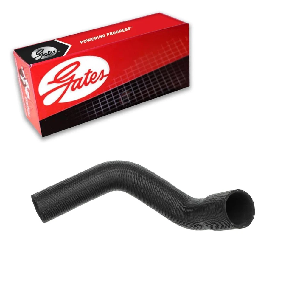 Manguera de refrigerante de radiador Gates inferior para Jeep Wrangler 1991-1995 4L L6 GAS Foto 1 de 3