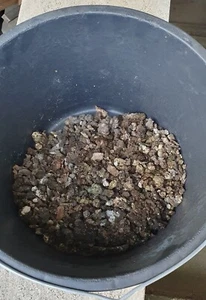 Hühnermist, Dünger 1kg - Bild 1 von 3