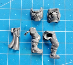 BT Crusader Bits Neophyte B Body Legs Black Templars Primaris Scout 40k Bitz - Picture 1 of 1
