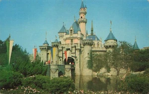 Postcard Disneyland Sleeping Beauty Castle Guests Fantasyland Magic Kingdom - Picture 1 of 2