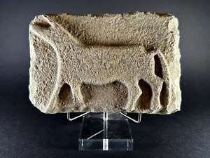 ANCIENT NEAR EASTERN STONE CARVED PLAQUE DEPICTING HORNED BULL - CIRCA 1600 BCE - Picture 1 of 10