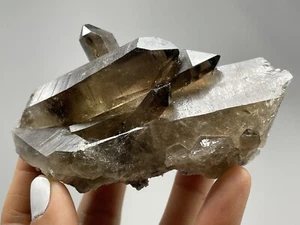 Bacchetta quarzo fumé LEMURIAN grappolo terminazione naturale Brasile 7,3 oz cristallo S24 - Foto 1 di 12