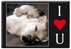 MAGNETE RETTANGOLARE CALAMITA FRIGO FRIDGE MAGNET ANIMALI CUORE CANE BAMBINO - Imagen 1 de 1