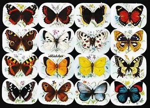# Fotos de Chatarra # Krüger 171-287 _ 288 Mariposas Vierckig, Como 98-140, Raro - Bild 1 von 1