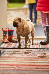 Hug Rug (Stripe 32) Dirt Trapper Door Mat & Runner Available Machine Washable - Picture 1 of 9