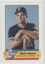 1995 Fleer ProCards Minor League Daniel Robinson #260