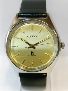 ALLWYN 17J CUERDA ESFERA DORADA Y380-8160 INDIA HOMBRE ESTADO DE FUNCIONAMIENTO - Imagen 1 de 21