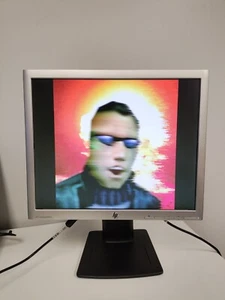 HP LA1956x 19-inch LED Backlit LCD Monitor 1280 x 1024 60Hz VGA DVI DisplayPort - Picture 1 of 10
