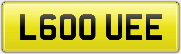 L600 UEE CAR REG NUMBER PLATE FEES PAID / LOUIE LOU LOUIS LOUISE LOO LOUEY LUIGI - Image 1 of 1