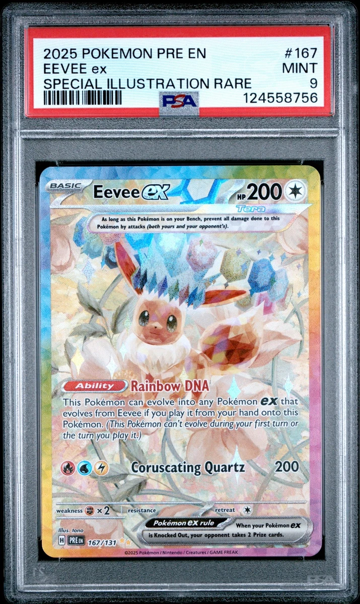 Pokémon TCG Eevee Professional Sports Authenticator Individual