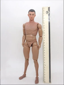 SoldierStory SS119 1/6 Ejército Chino Fuerzas Especiales Falcon 2015 Modelo de Cabeza y Cuerpo - Imagen 1 de 2