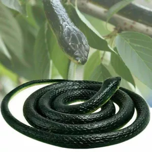 Serpiente falsa realista realista realista Miedo real Juguete de goma Broma Broma Broma Regalo divertido - Imagen 1 de 6