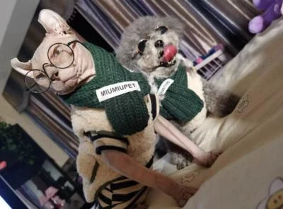 Chaqueta polar para mascotas con bufanda | Lindo paño para perros | Lindo paño para gatos | M-XL paño para mascotas Foto 1 de 4