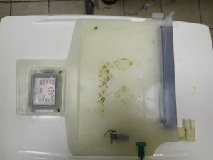 Salzbehälter für Miele Geschirrspüler G 6735 - Bild 1 von 2