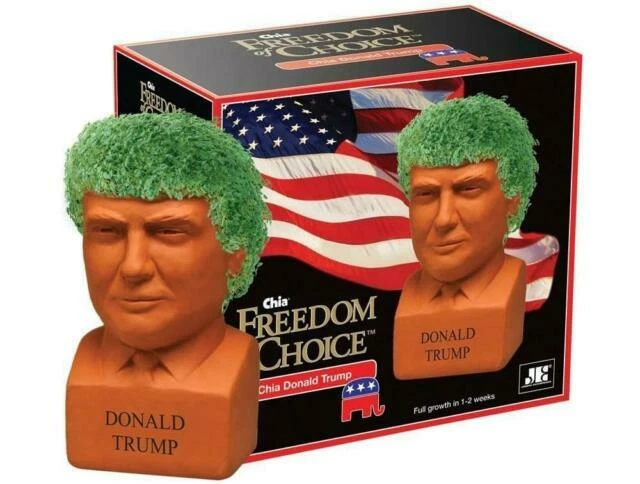 Chia CP116-01 Donald Trump Freedom of Choice Pottery Planter