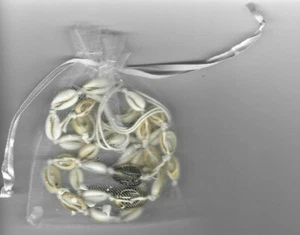 Collar Vercret Shell - Nuevo - Imagen 1 de 3