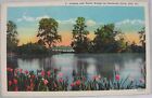 1940's Vintage Postcard Lagoon and Rustic Bridge on Peninsula Dr Erie, PA