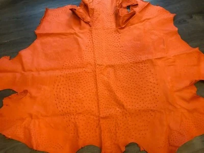 Piel de avestruz naranja Hermes Foto 1 de 4