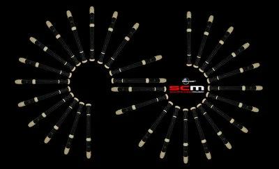 30 x STUDENT DESCANT/SOPRANO RECORDER PACK -THIRTY BULK BUY School Special - Image 1 of 3