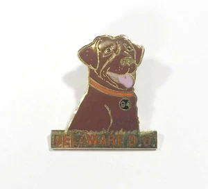 Delaware D.U. de colección Pinback 94 Esmalte Original - Imagen 1 de 2