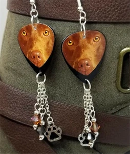 Chocolate Lab Guitar Pick Earrings with Swarovski Crystal Dangles - Picture 1 of 5
