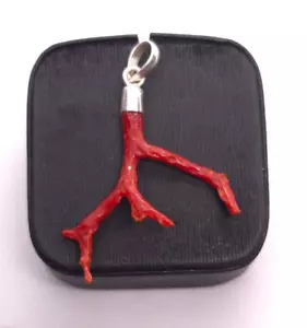 Collana con ciondolo ramo di corallo marino naturale Italia ramo di corallo rosso ciondolo corallo - Foto 1 di 5