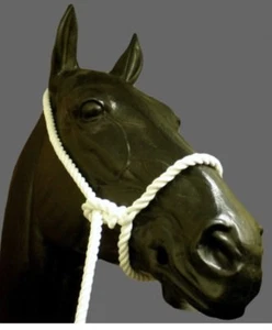 Rope Halter, Showing, White, One Size, Cow, Sheep, Horse, FREE UK Postage - Picture 1 of 1