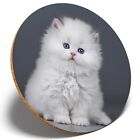 1 x White Fluffy Cat - Round Coaster Kitchen Student Kids Gift #16911