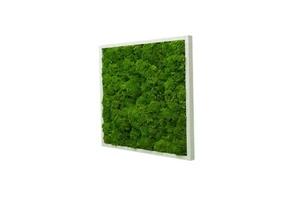 Wandbilder Wave Design Moosbild Wandbild Wand Moos Bilder Oster Dekoration - Bild 1 von 39