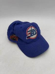 Sombrero Winnipeg Jets Vintage Años 90 Cabeza de Bloque Snapback Aguja Americana Lana NHL - Imagen 1 de 14
