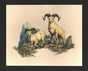 *De colección* Frederick Sweney Wildlife de los años 70 estampado en relieve ovejas dal nuevo de lote antiguo - Imagen 1 de 3