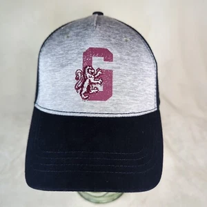 Harry Potter Gryffindor Mütze JUGEND Riemen hinten verstellbar grau/marine Cap 2018 - Bild 1 von 10