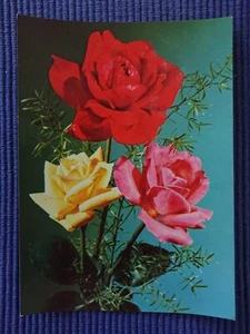 Old Postcard Art Card Pink Roses Rosaceae 50s - Picture 1 of 2